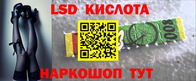 гидра Кандалакша
