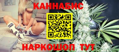 гидра Кандалакша