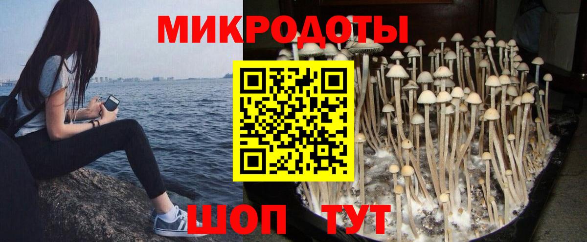 Псилоцибиновые грибы GOLDEN TEACHER Губкинский